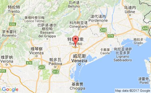 特雷维索